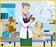 Tiere & Tierarzt